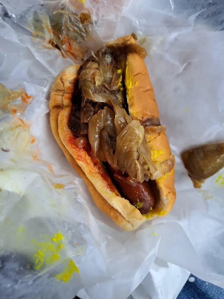 Hot Dog with a Lot of Onions